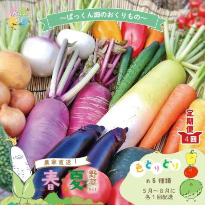 ふるさと納税 四万十市 [早期受付 4回定期便]とれたて新鮮!春夏野菜セット 約5種類[2025年5月~8月まで毎月1回]