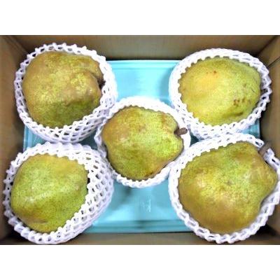 ふるさと納税 上山市 訳あり(ご家庭用) ラフランス 3kg 大玉 西洋梨 果物 山形 ラ・フランス 0017-2646 |  | 01