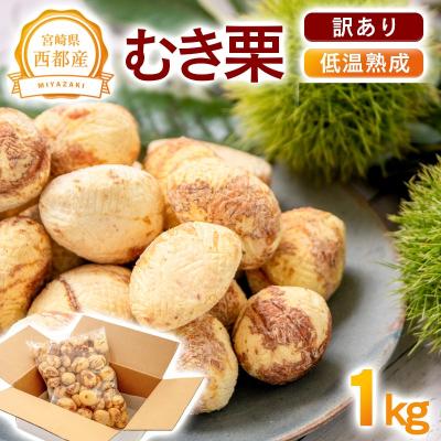 ふるさと納税 西都市 [訳あり]宮崎県西都市産 低温熟成生栗(むき栗)1kg[先行受付] [2307]