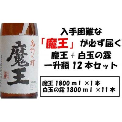 ふるさと納税 錦江町 [魔王と白玉の露]白玉醸造の銘酒12本セット(No.10001-1)