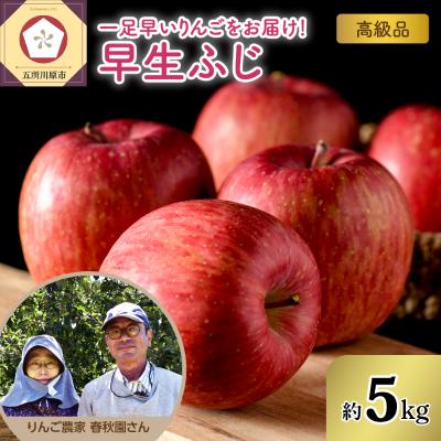 ふるさと納税 五所川原市 りんご[2026年10月上旬発送]高級品 早生ふじ 5kg