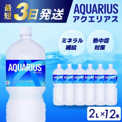 ふるさと納税 三原市 アクエリアス 2Lペットボトル 12本 [014-019]