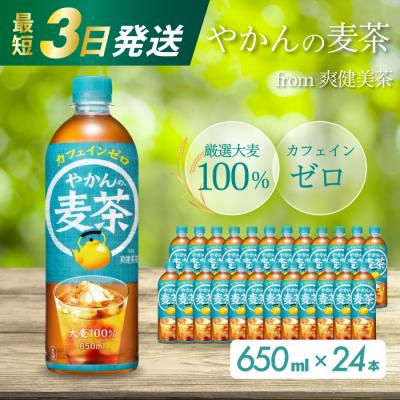 ふるさと納税 三原市 やかんの麦茶 from 爽健美茶 PET 650ml×24本(1ケース) [014-005]