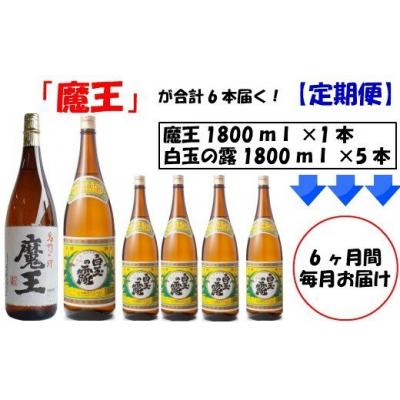 ふるさと納税 錦江町 「6ヶ月定期配送」&lt;魔王&gt;1升瓶×6本&lt;白玉の露&gt;1升瓶×30本(TK-006-1)