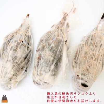 ふるさと納税 徳之島町 新鮮なまますぐ冷凍!!徳之島産冷凍伊勢海老2kg(3尾〜5尾) |  | 02