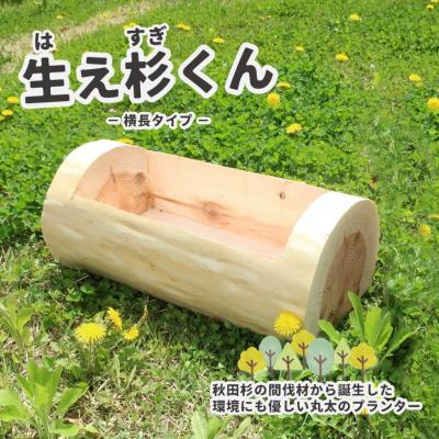 ふるさと納税 能代市 秋田杉の丸太プランター「生え杉くん(はえすぎくん)」横長タイプ