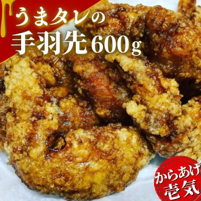 ふるさと納税 豊後高田市 うまタレ付 手羽先 600g [ からあげ 壱気 ]