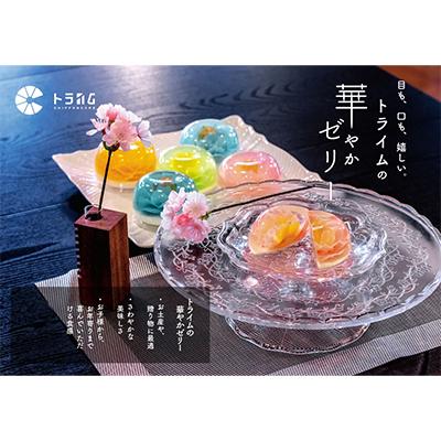 ふるさと納税 京都市 [トライム]フラワーゼリー「雅」6個入り