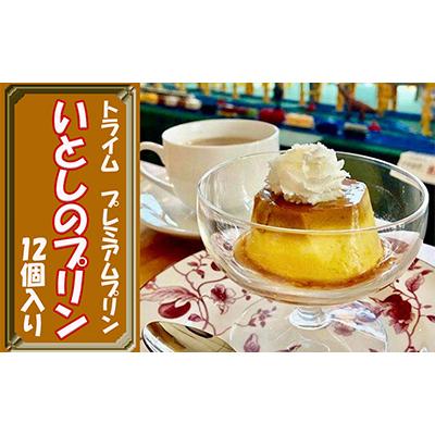 ふるさと納税 京都市 [トライム]プレミアムプリン(いとしのプリン)12個入り