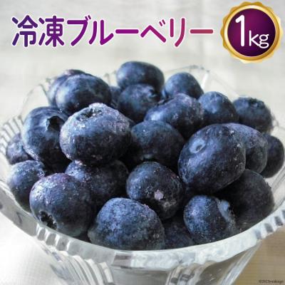 ふるさと納税 砂川市 冷凍 ブルーベリー 1kg [ノーザン・ベリーズ 北海道 砂川市 12260395]