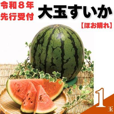 ふるさと納税 奈半利町 山中農園のスイカ 1玉 103001
