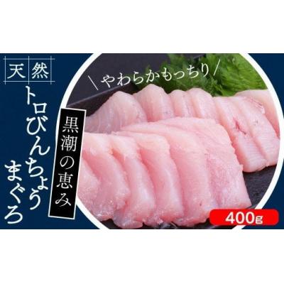 ふるさと納税 奈半利町 トロびんちょうまぐろ400g(200g×2柵) 104010