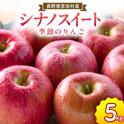 ふるさと納税 宮田村 [先行受付]季節のりんご『シナノスイート』(5kg)