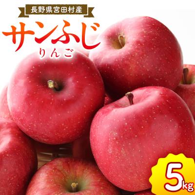ふるさと納税 宮田村 [先行受付]サンふじリンゴ(5kg)