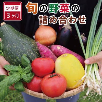 ふるさと納税 明和町 旬の野菜 詰め合わせ 6〜7品以上 連続3か月[定期便]おまかせ セット 産地直送 新鮮 ja1
