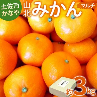 ふるさと納税 香南市 [年末配送可能] 山北みかん3kg be-0062