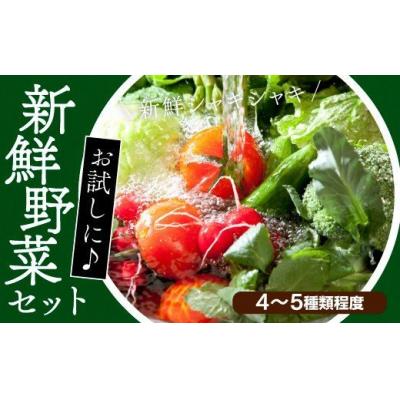 ふるさと納税 奈半利町 ちょこっと野菜セット 116001
