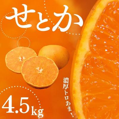 ふるさと納税 紀宝町 家庭用 たにぐち農園のせとか 4.5kg 大小混合[2027年3月〜4月上旬発送][mtn012C]
