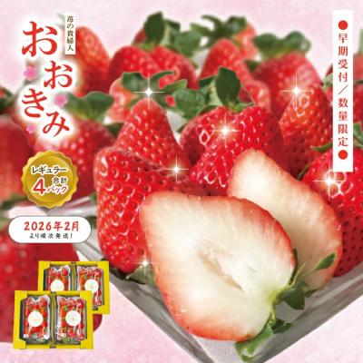 ふるさと納税 四万十市 [早期受付・数量限定]苺の貴婦人おおきみ(レギュラー)4パック[2026年2月より順次発送予定]