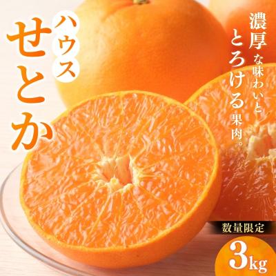 ふるさと納税 紀宝町 2L〜3L 阪口農園のハウスせとか3kg[msa001B]