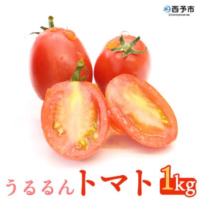 ふるさと納税 西予市 &lt;甘くて濃厚な味わい「うるるんトマト」(1kg)&gt; とまと 野菜 ジューシー 西予市 野村