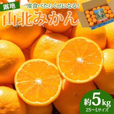 ふるさと納税 香南市 [令和7年度発送分]みかん5kg 山北みかん 温州みかん5kg 小玉 5kg ku-0043