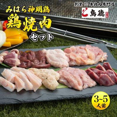ふるさと納税 三原市 鮮度抜群6種入り 鶏肉専門店の「焼肉BBQセット(みはら神明鶏)」[012-002]