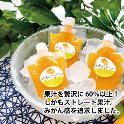 ふるさと納税 勝浦町 みかんストレート 720ml+みかんジュレセット