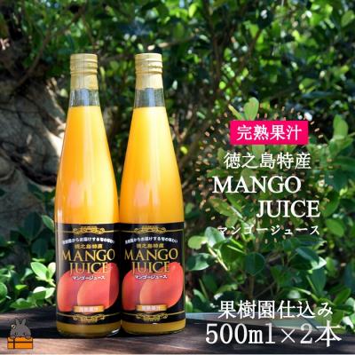 ふるさと納税 徳之島町 〜うっとりするおいしさ〜徳之島のマンゴージュース(2本)