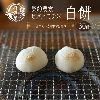 ふるさと納税 赤磐市 白餅 30個(保存料無添加)(2026年1月中旬〜3月中旬出荷分)[NO5765-0828]
