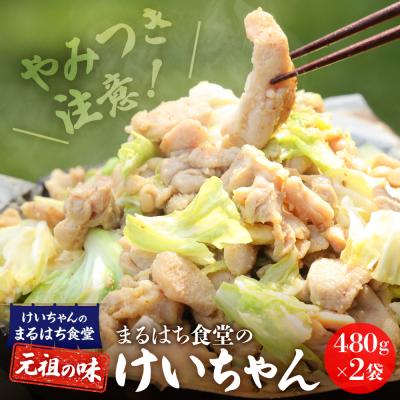 ふるさと納税 下呂市 鶏ちゃんの名店「まるはち食堂」480g×2(約6人前)下呂の味!!けいちゃん[48-1]