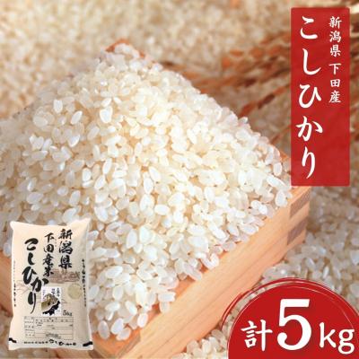 ふるさと納税 三条市 コシヒカリ 5kg 新潟県三条市下田産こしひかり 令和7年産 