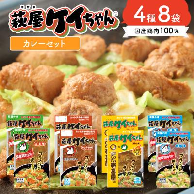 ふるさと納税 下呂市 萩屋ケイちゃんスタンダードカレーセット みそ・カレー・しょうゆ・しお(各230g×2 )[10-7]