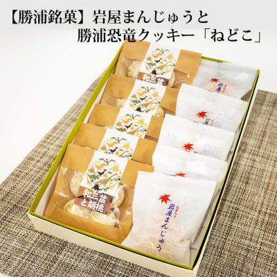 ふるさと納税 勝浦町 滝口清水堂&lt;一&gt;セット