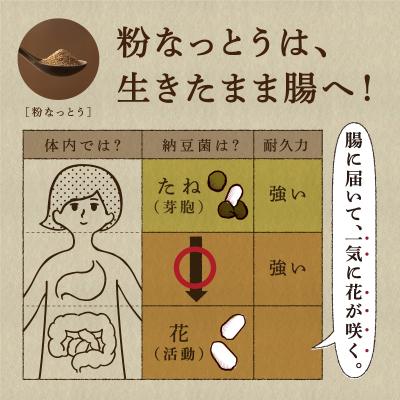 ふるさと納税 勝浦町 粉なっとう【パウダー】180gの画像
