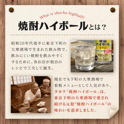 ふるさと納税 京都市 【タカラ】焼酎ハイボール レモン  350ml×24本 | チューハイ ハイボール お酒 人気セット |  | 03