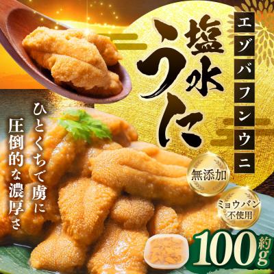 ふるさと納税 釧路市 [6月中旬(予定)〜9月発送不可][特選] 塩水ウニ100g(エゾバフンウニ) うに 雲丹