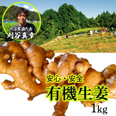 ふるさと納税 いの町 刈谷農園の有機生姜1kg(有機JAS認定取得)