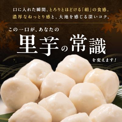 ふるさと納税 加西市 里芋 冷凍 小分け 絹里芋 220g 6パック 兵庫県産 野菜 根菜 粘り[No5698-1106] |  | 03