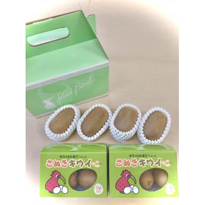 ふるさと納税 善通寺市 善通寺市産キウイ詰合せ