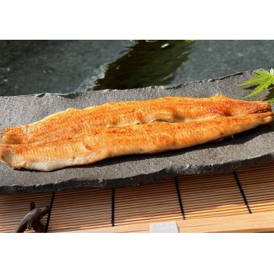 ふるさと納税 白川町 多幸八【備長炭】国産うなぎの蒲焼12尾セット_2