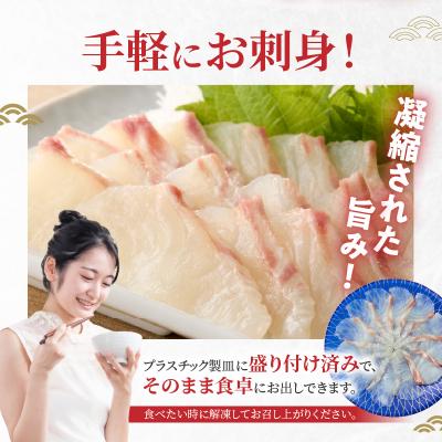 ふるさと納税 天草市 天草の味が楽しめる♪真鯛のお刺身【4〜5人前】_S106-015A |  | 01