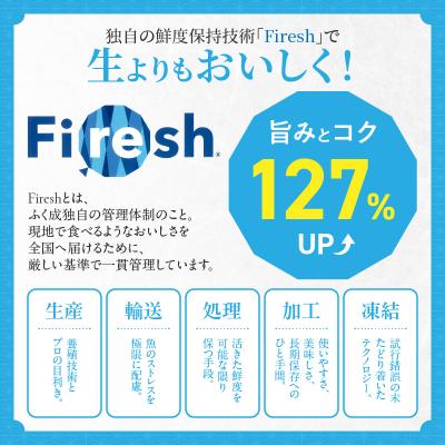ふるさと納税 天草市 天草の味が楽しめる♪真鯛のお刺身【4〜5人前】_S106-015A |  | 02