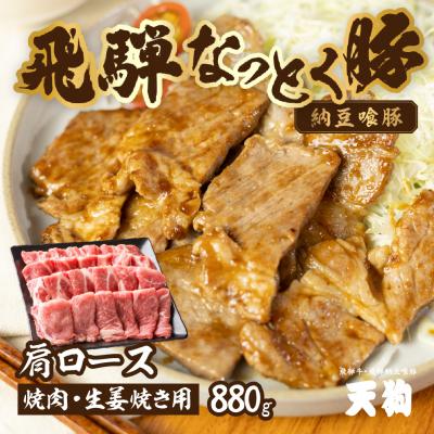 ふるさと納税 下呂市 [冷凍]飛騨納豆喰豚肩ロース焼肉・生姜焼き用セット 880g[11-6]