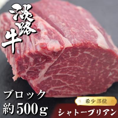ふるさと納税 淡路市 淡路牛シャトーブリアン ブロック 500g