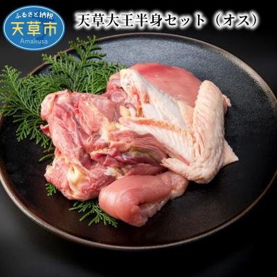ふるさと納税 天草市 天草大王半身セット(オス)_S081-012A | 