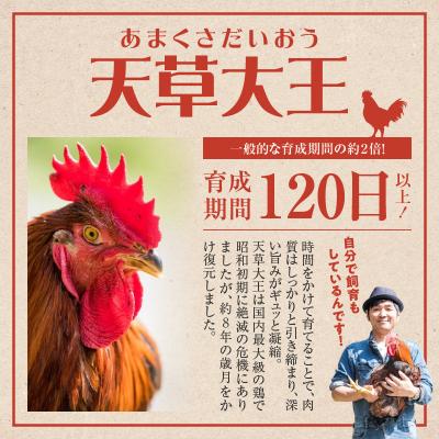 ふるさと納税 天草市 天草大王半身セット(オス)_S081-012A |  | 01