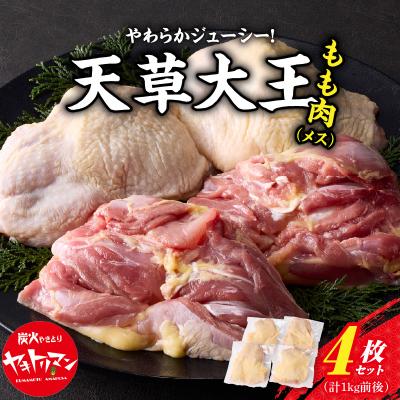 ふるさと納税 天草市 天草大王　もも肉4枚セット(メス)_S081-013A | 