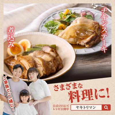 ふるさと納税 天草市 天草大王　もも肉4枚セット(メス)_S081-013A |  | 02
