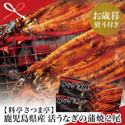 ふるさと納税 南さつま市 [お歳暮ギフト]鹿児島県産 活うなぎの蒲焼2尾 うなぎ ウナギ かば焼